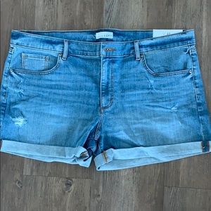 Loft denim shorts